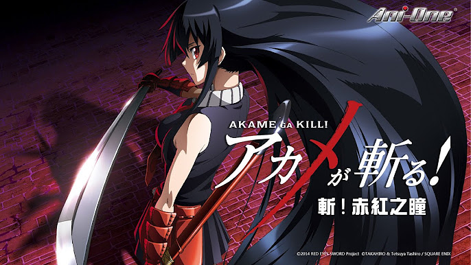 akame ga kill theme iamge - Akame Ga Kill Merch